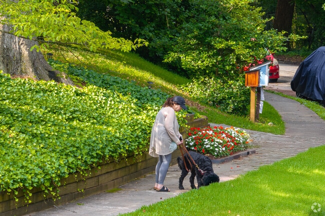 Enjoy quiet walks with the dog through the Winnona Park Historic District neighborhood.