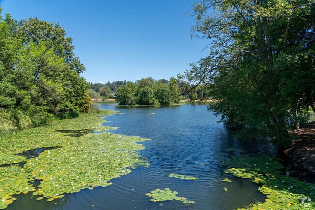 Saint Helens offers a peaceful lakeside retreat with scenic views and tranquil waters.