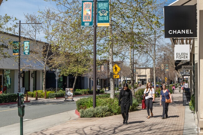 Tree-lined streets run through Broadway Plaza, providing shade in summer.