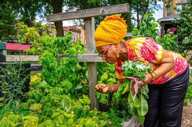 Harvest fresh produce or enjoy the lush plants at the local community garden in Grand Crossing.