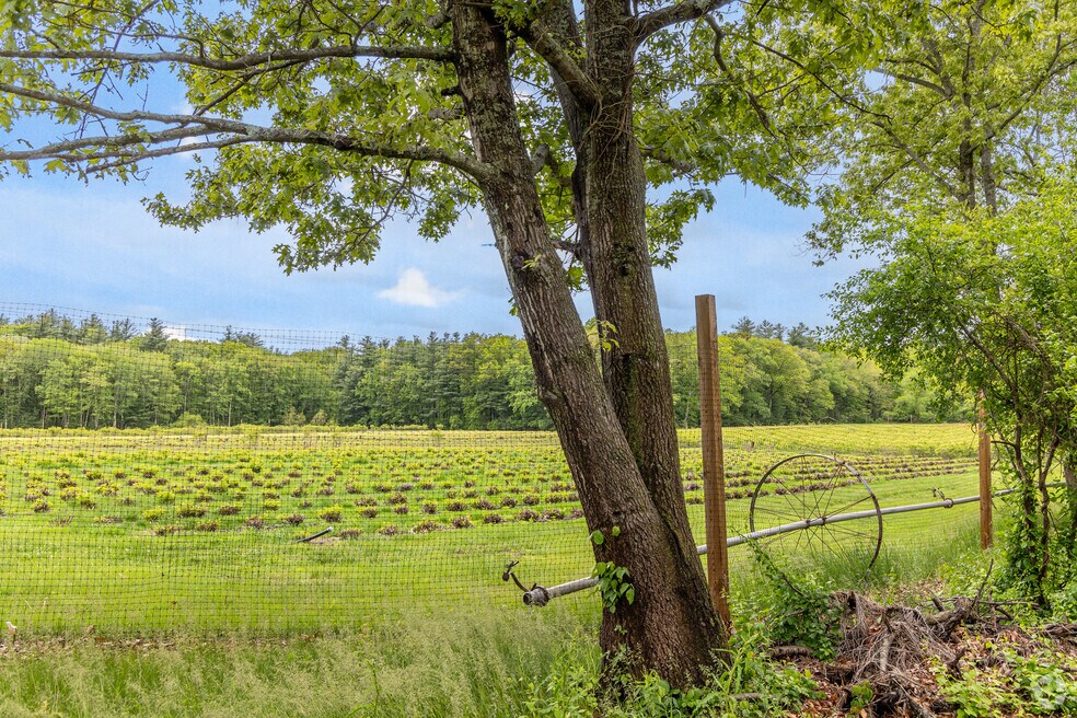 Sudbury_1004362_CL_060525_V2