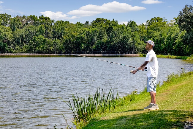 At Bowles C. Ford Park near Tremont Park, the lake is reserved exclusively for fishing, offering a peaceful spot for anglers to unwind.
