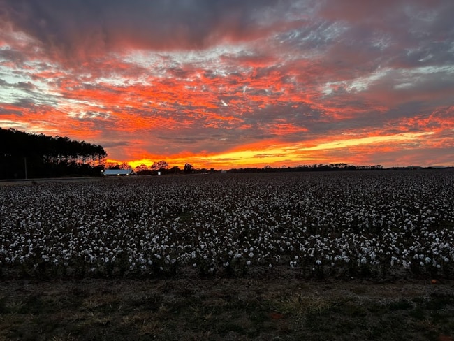 42 Chapman Rd, Atmore, AL 36502 - photo 2