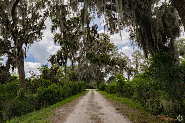 Drive the four-mile route through Savannah National Wildlife Refuge near Port Wentworth.