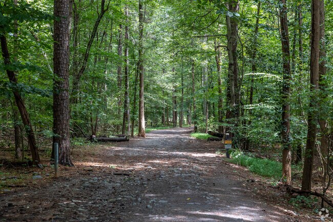 Sope Creek Trails is a popular trail for hiking and running in Marietta, GA.