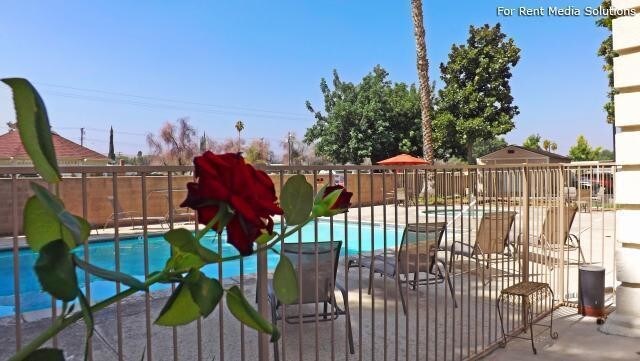 Mountain View Mansion, Redlands, CA 92373 - photo 2