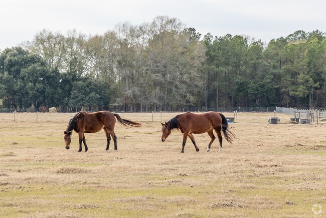Pine Ridge offers a mix of country living and the ability to be downtown in a matter of minutes.