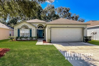30320 Birdhouse Dr, Wesley Chapel, FL 33545