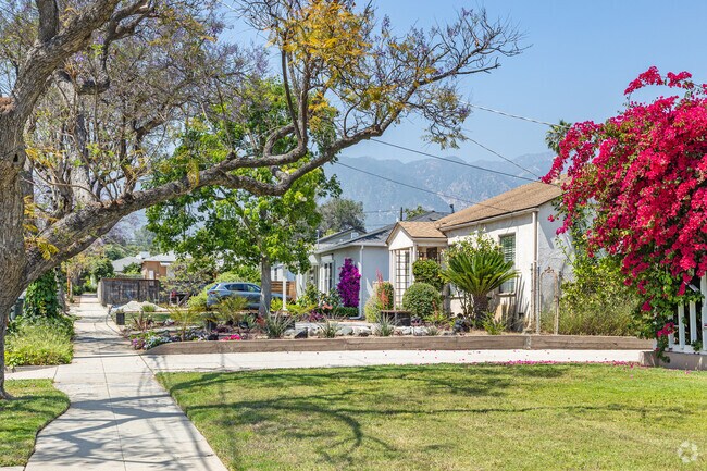 The residential streets of Muir Heights are well kept, with wonderful flowering plants.