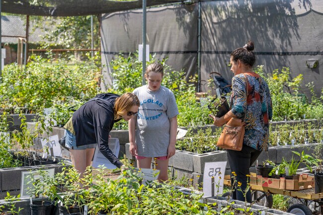 Level up your garden at the Chesapeake Natives Plant Sale.