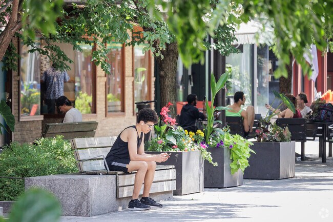 Ithaca's main dining destination is the Ithaca Commons, where many residents dine and shop.