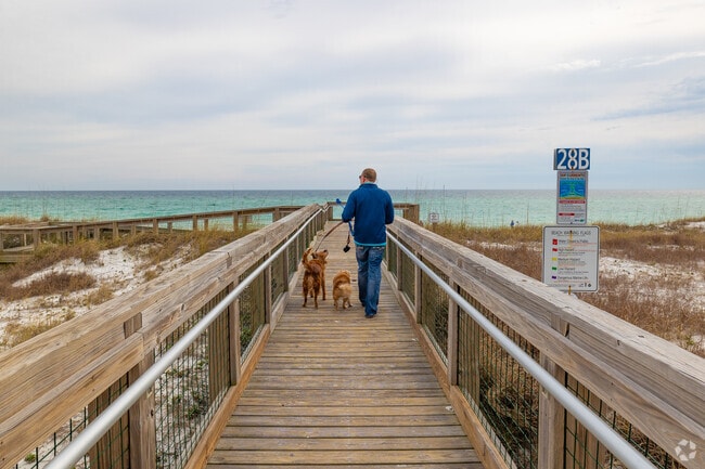 Pensacola Beach has two dog parks right on the beach.