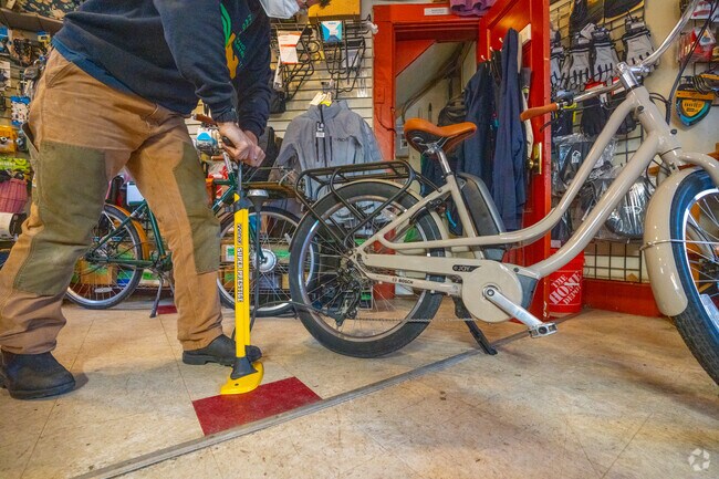 The Bicycle Belle is the go-to for repairs and new items to add to your kit in Baldwin.
