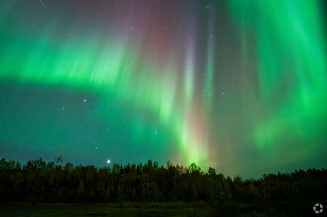 Salcha is far away from city lights, which offers plenty of chances to view the Northern Lights.