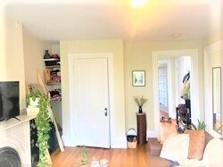 209 W Newton St unit P-Duplex, Boston, MA 02116 - photo 5