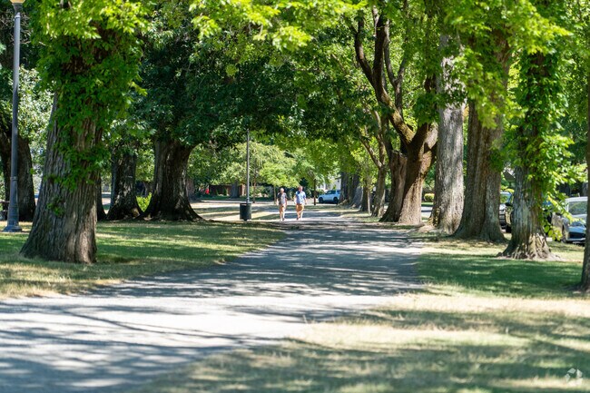 Walk through Saint Helens' lush, tree-lined paths for a serene nature experience.