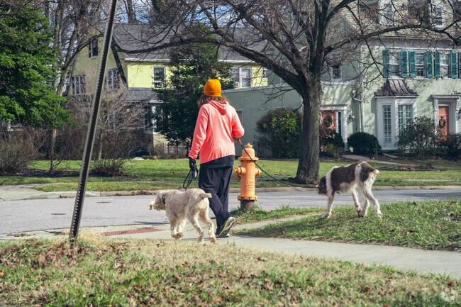 Take your dogs for a walk in Beechfield.