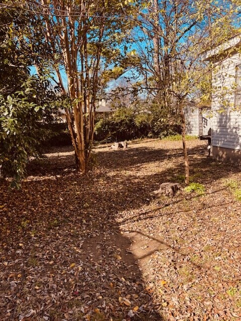 749 Dickinson St, Memphis, TN 38107 - photo 2