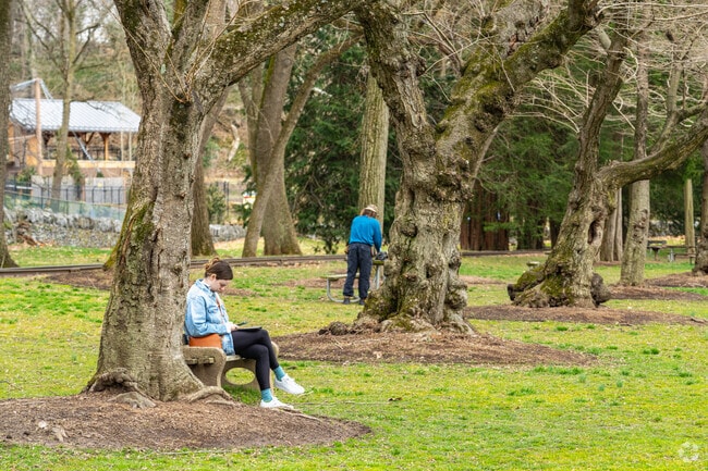 Locals sit and relax in the calming vibes of Brandywine Park just outside of North Brandywine.