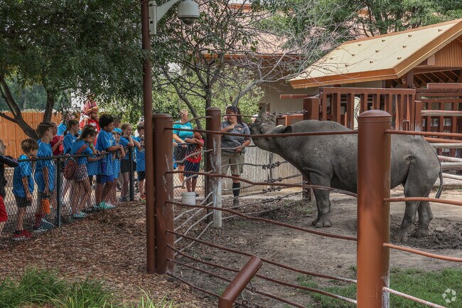 Zookeepers host daily feedings and demonstrations at Great Plains Zoo in Garfield.