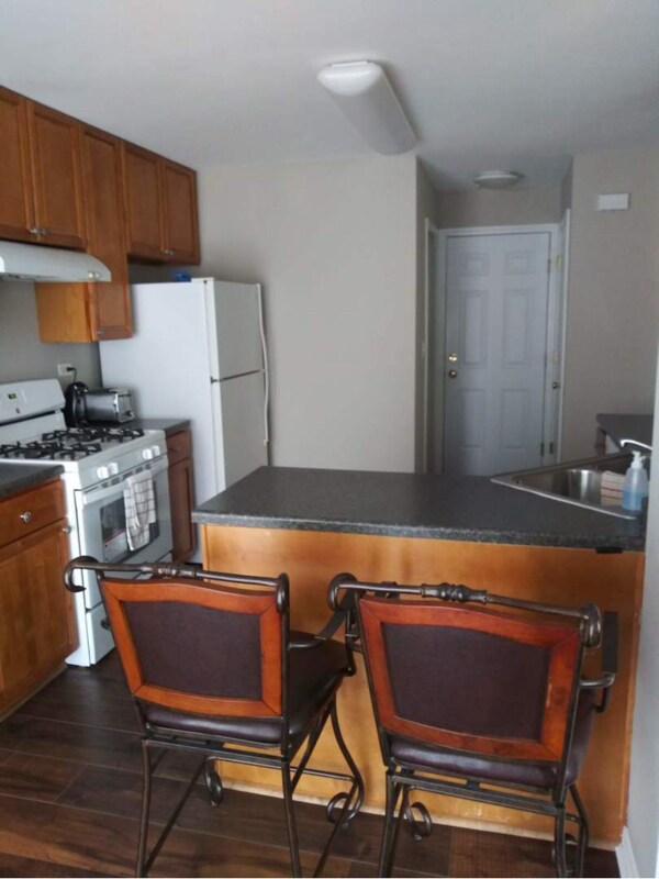 481 Metropolitan St, Aurora, IL 60502 - photo 4