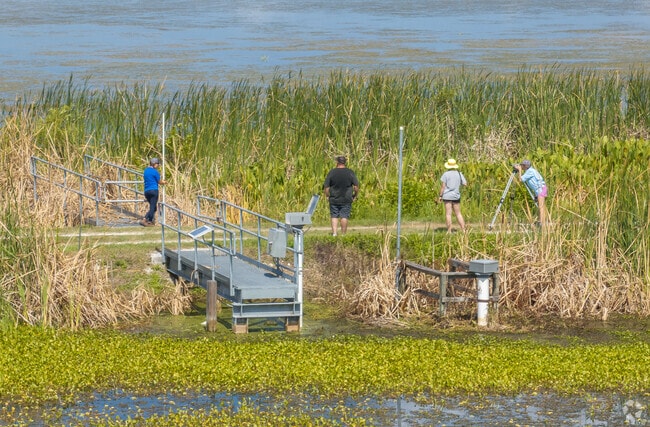 Lisbon's Emeralda Marsh Wildlife Drive is a haven for nature photographers.