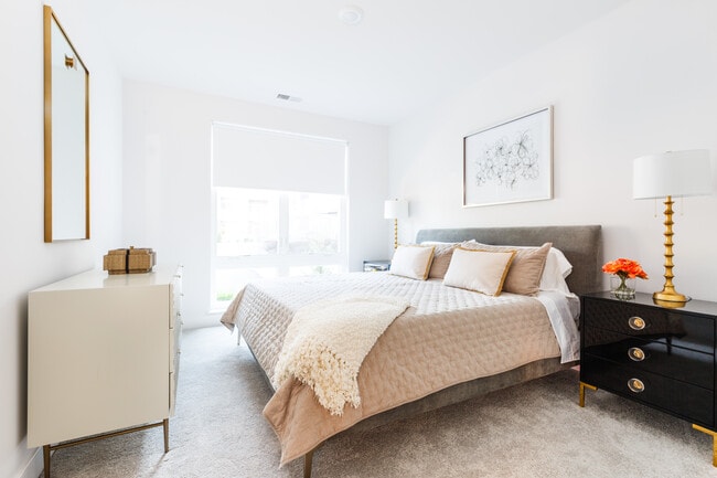 The Quin, Plainfield, NJ 07062 - photo 5