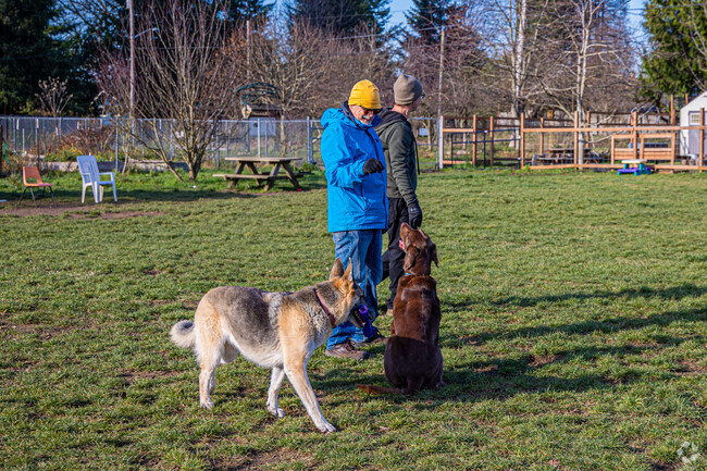 Residents of Upper Eastside love playing with their pets at the park.