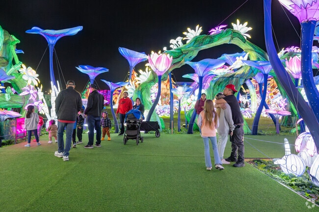 The stunning displays at the Tianyu Light Festival create a magical experience for all ages.