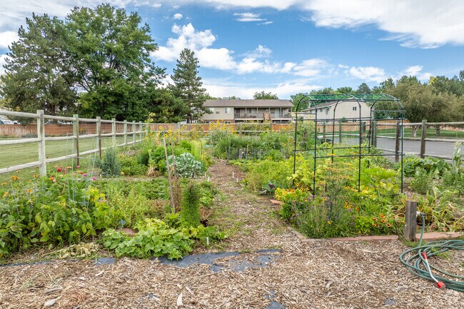 Work on your green thumb at the community garden at Edora Park.