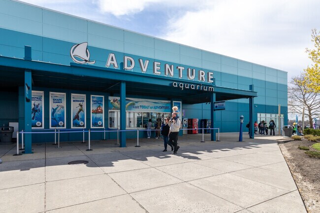 Make today an adventure at the Adventure Aquarium in Camden.