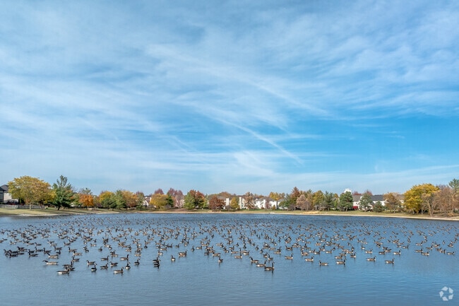 Scenic ponds dot the landscape in Thornwood.