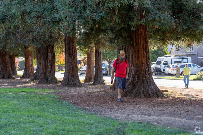 Leisurely walks define the charm of Marijane Hamann Park in Castlemont.