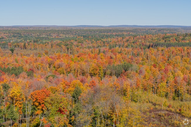 The Lookout Tower is ideal for viewing fall foliage in the Mountain area during autumn.