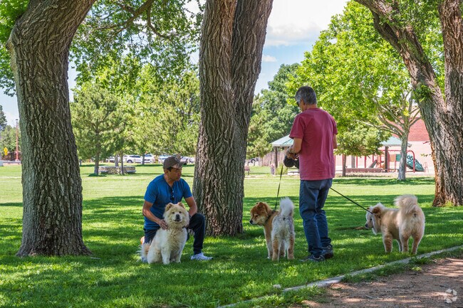 Locals can often be found walking their dogs at Fort Marcy Park.