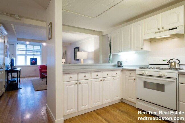 28 Piedmont St unit 3, Boston, MA 02116 - photo 5