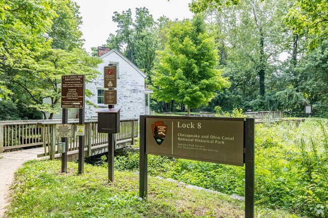 Experience tranquility at Cabin John's gem, Chesapeake & Ohio Canal. A haven for peaceful walks.