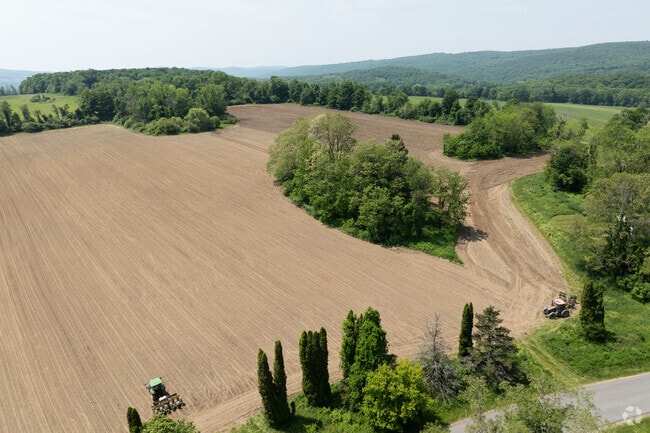 In the North East neighborhood large plots of land are a common site with many using it for farming.