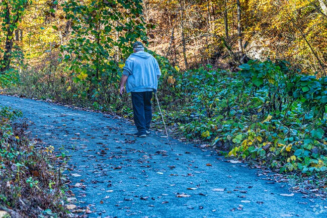 The walking trails around the creeks and rivers are popular in Eden.
