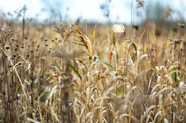 Schoenecker Park is just south of Graceland.