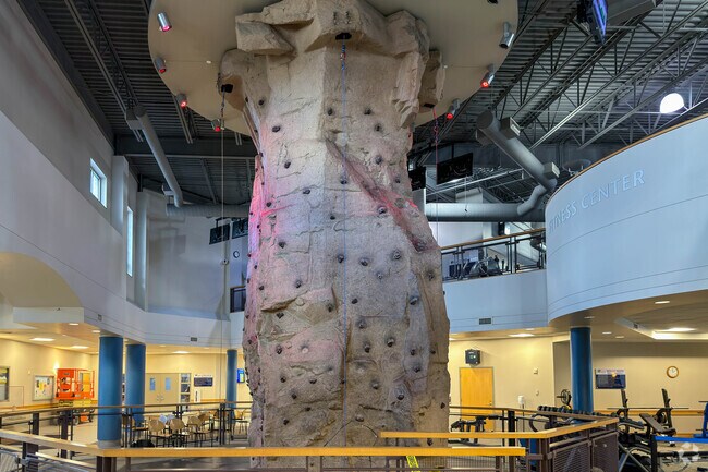 Challenge yourself on the rock wall at the Solon Community Center.