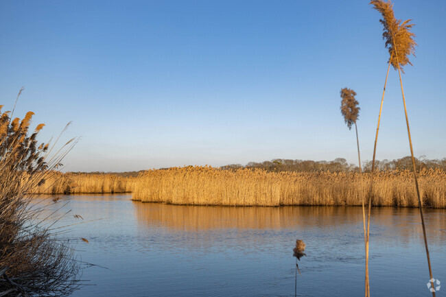 Lotus Lake in Bayport is a great place to go fishing.