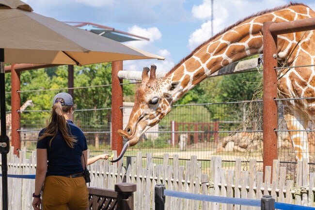 Ormewood Park residents can step into unforgettable immersive experiences at Atlanta Zoo.