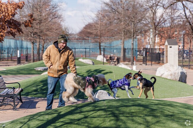 Patterson Park's public dog park has multiple sections for large and small pups.