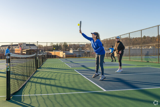 Picklball enthusiasts can compete with friends at the Springettsburg Township Park.