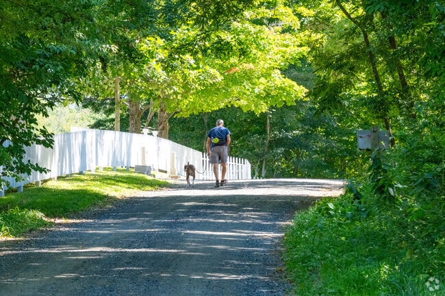 A Redding resident walks their dog along the scenic neighborhood roads.