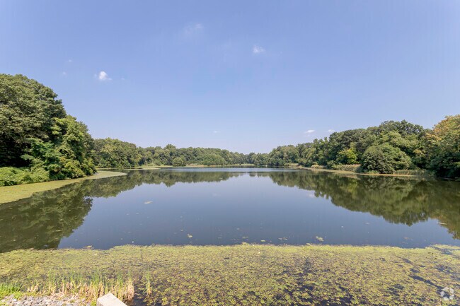 Twin Lakes Park boasts some beautiful views.