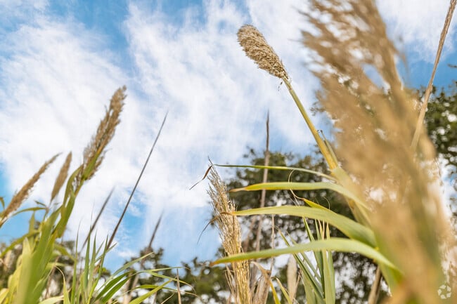 Long Beach offers peaceful living near Gulf beaches and vibrant downtown.