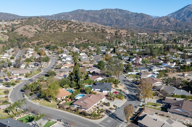 A peaceful neighborhood view in Claremont, blending natural beauty with suburban charm.