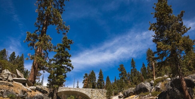 Sequoia National Park